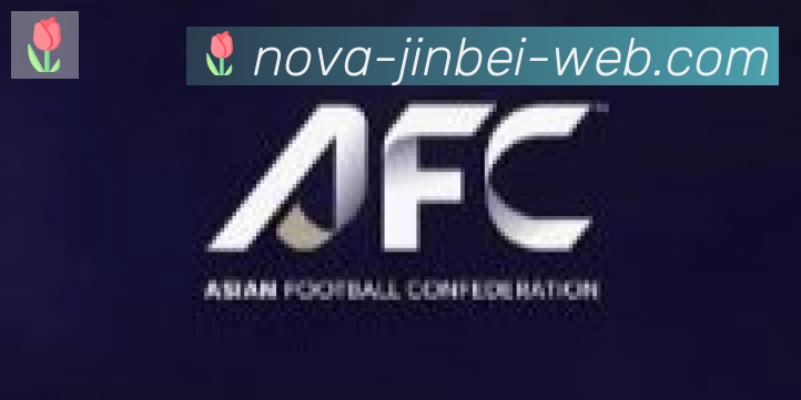 金贝体育合作伙伴